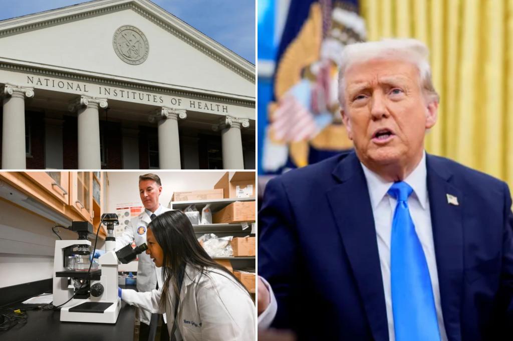 Scientists expect 'big medical advances' despite Trump's lid in nih search funds