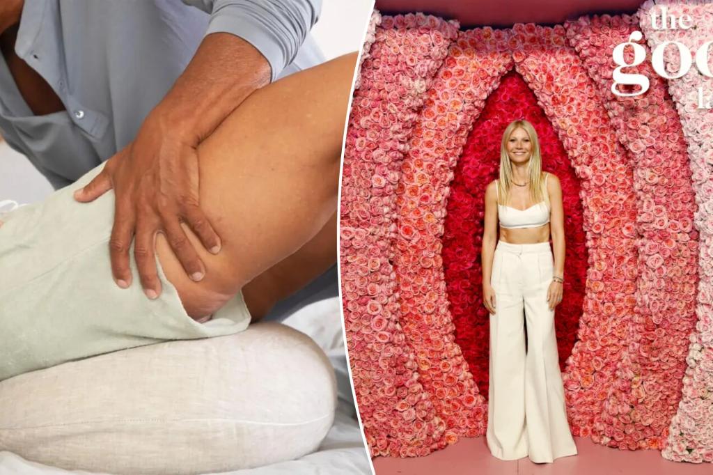 Gwyneth Paltrow is selling a $ 200 sex pad. Is it worth it?
