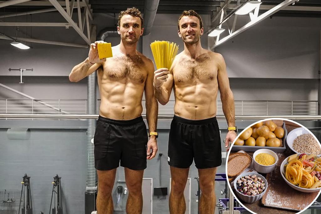 The twins tried different diets for 12 weeks. One had more energy